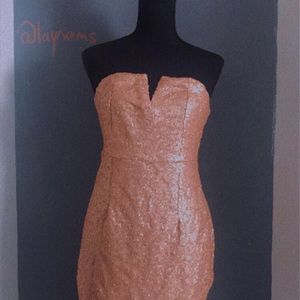 Lioness Blush Colorer Medium Sparkling Party Dress